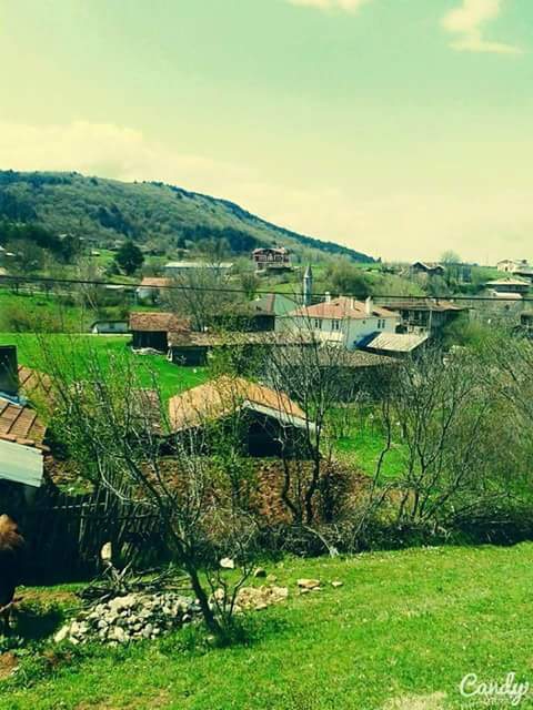 Araç Çukurpelit Köyü Resimleri 4