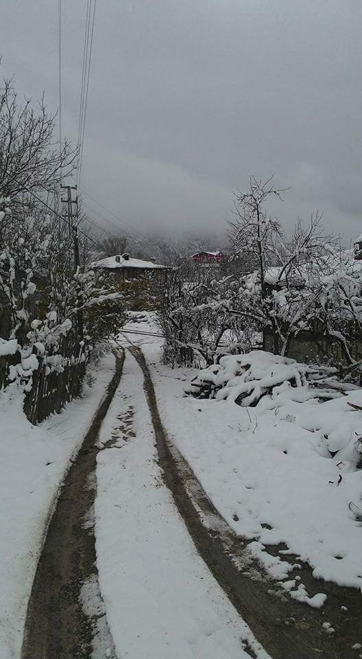 Araç Çukurpelit Köyü Resimleri 5