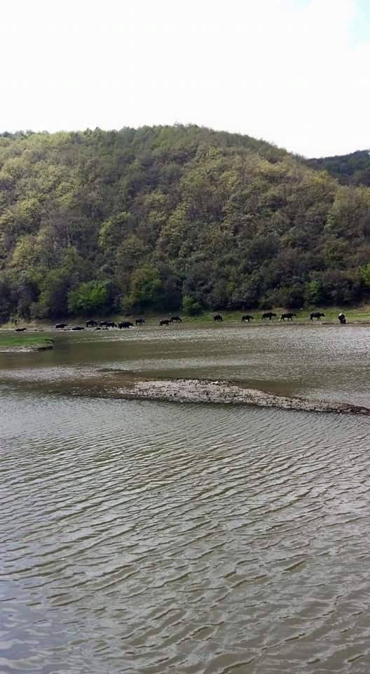 Araç Damla Köyü Resimleri 2