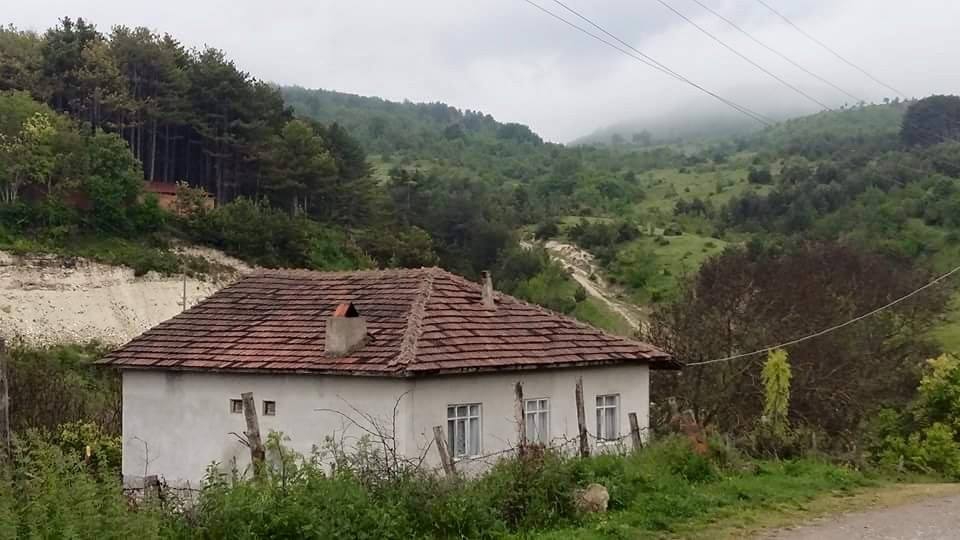 Araç Damla Köyü Resimleri 4