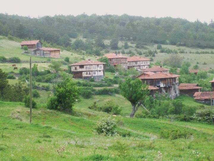 Araç Damla Köyü Resimleri 9