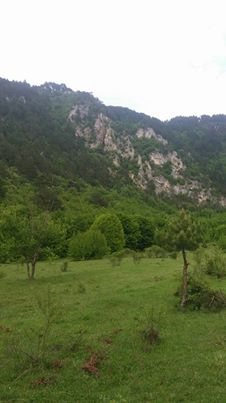 Araç Dereçatı Köyü Resimleri 5