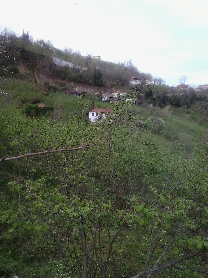 Beşikdüzü Akkese Köyü 8