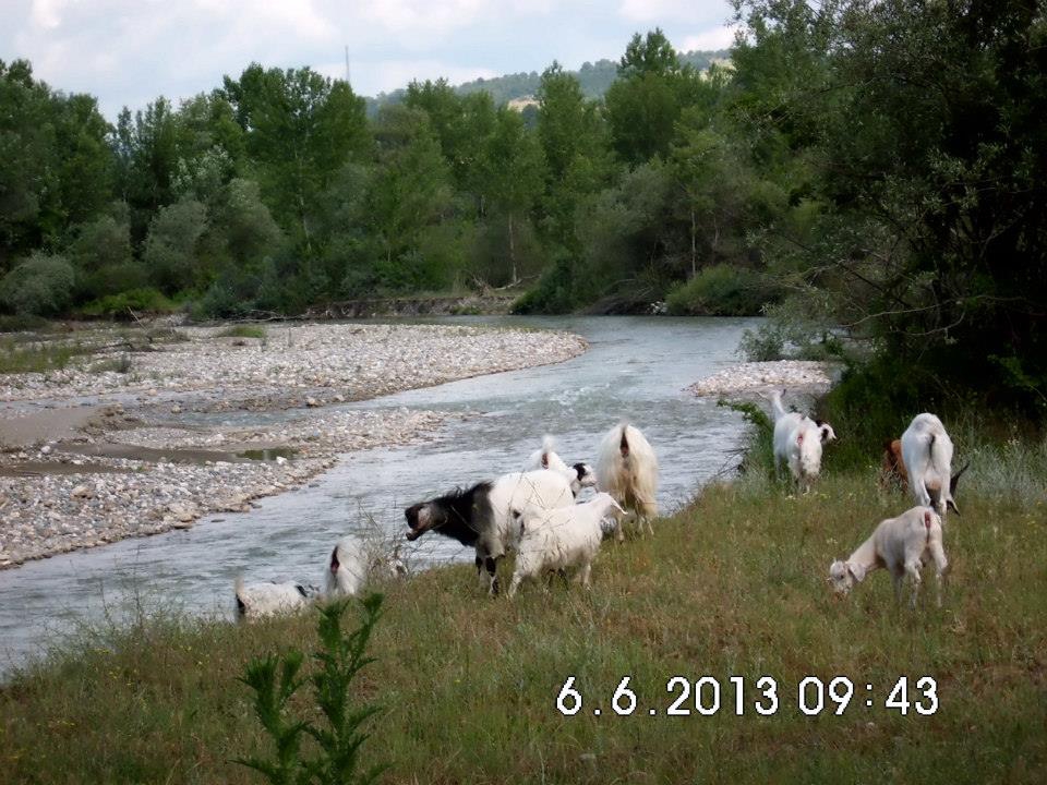 Araç Deretepe Köyü Resimleri 3