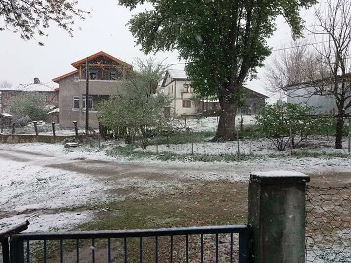 Araç Deretepe Köyü Resimleri 4