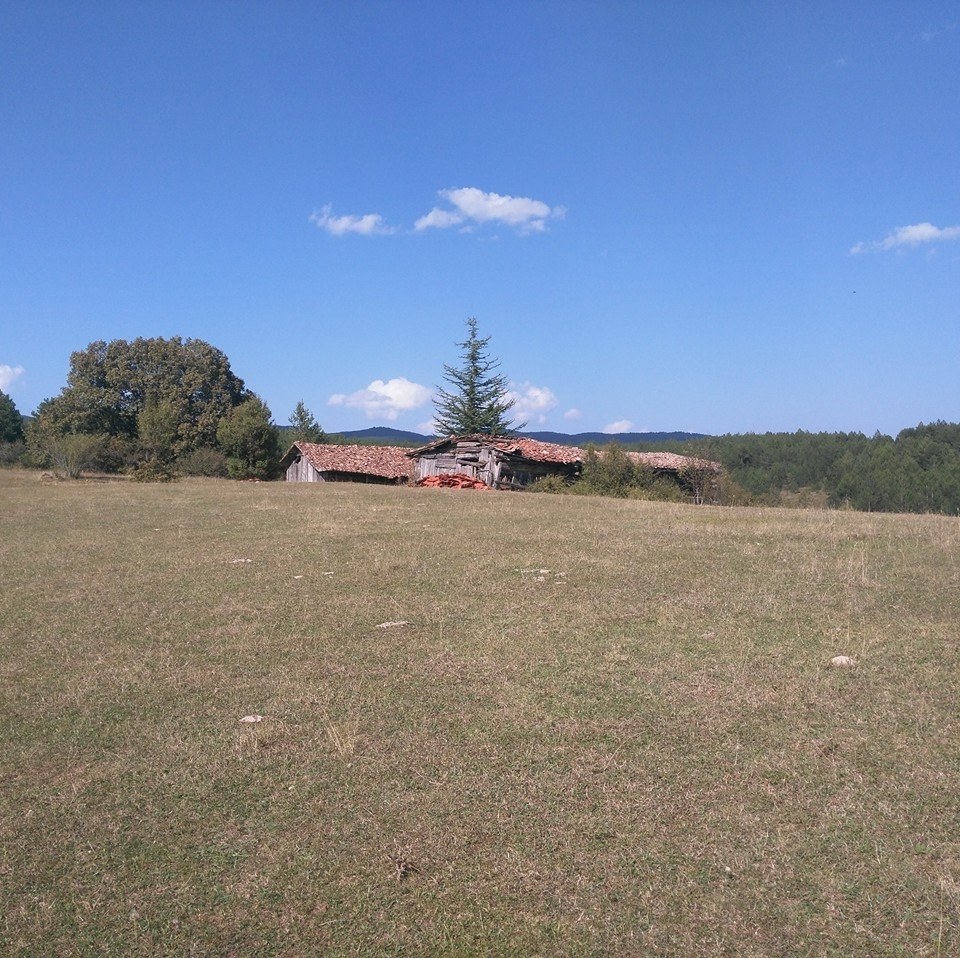 Araç Doğanca Köyü Resimleri 1