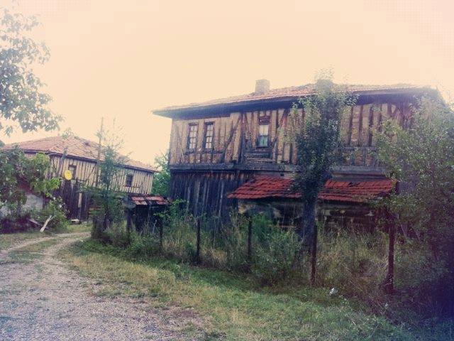 Araç Ekinözü Köyü Resimleri 10