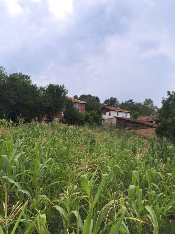 Araç Eskiiğdir Köyü Resimleri 3