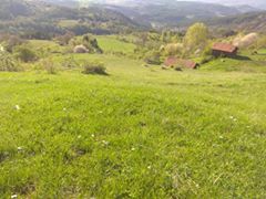 Araç Fındıklı Köyü Resimleri 1