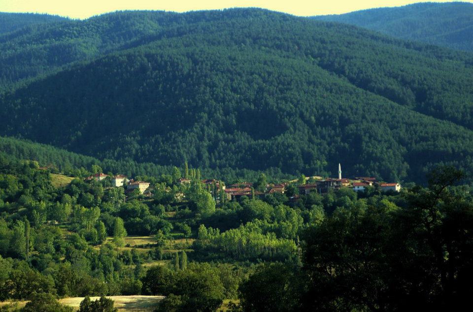 Araç Fındıklı Köyü Resimleri 12