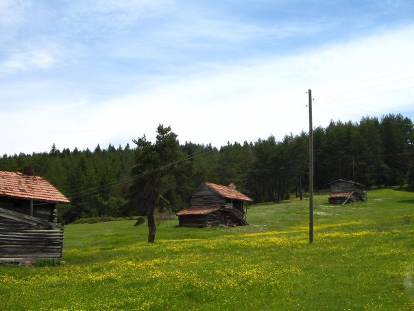 Araç Fındıklı Köyü Resimleri 8
