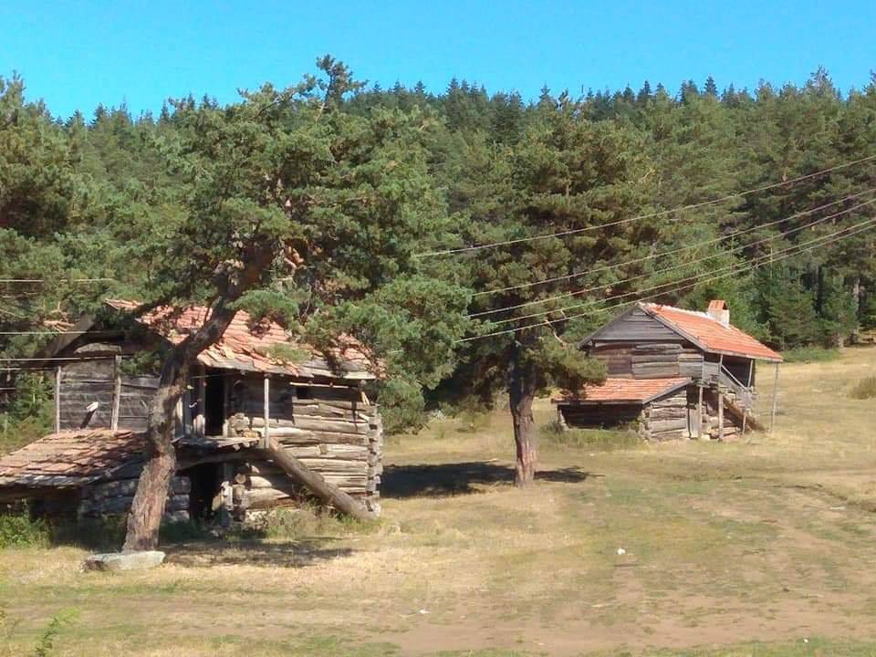 Araç Fındıklı Köyü Resimleri 9