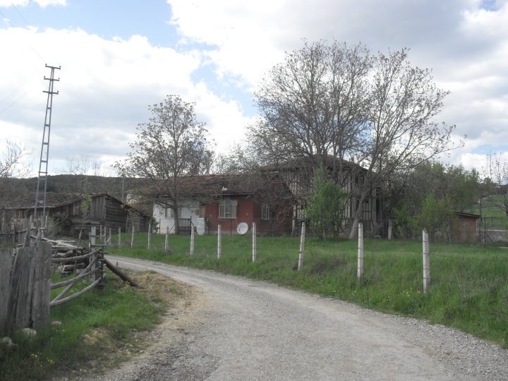 Araç Gemi Köyü Resimleri 1