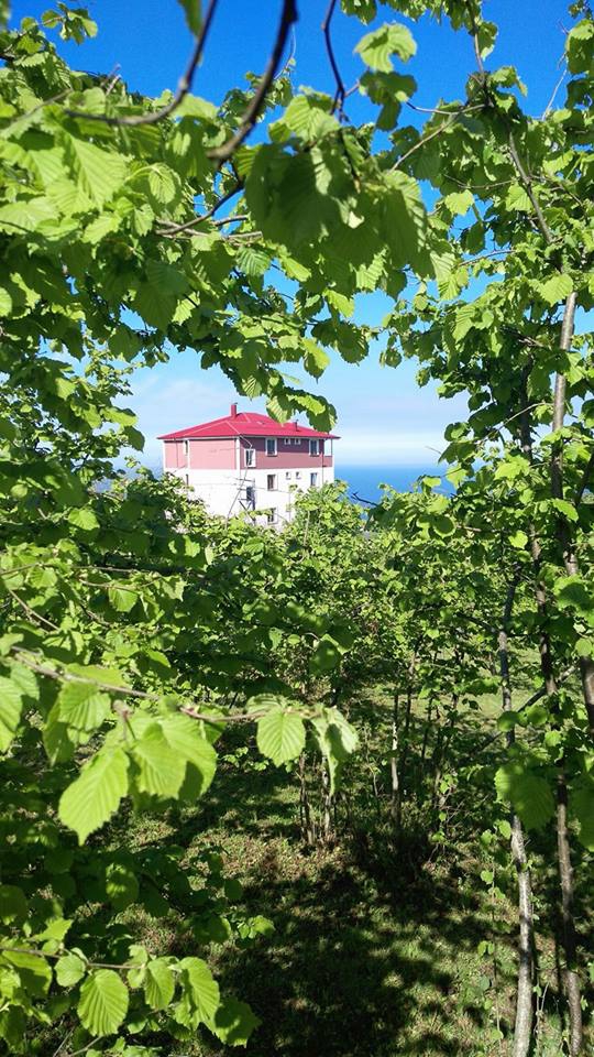 Beşikdüzü Aksaklı Köyü Resımleri 4