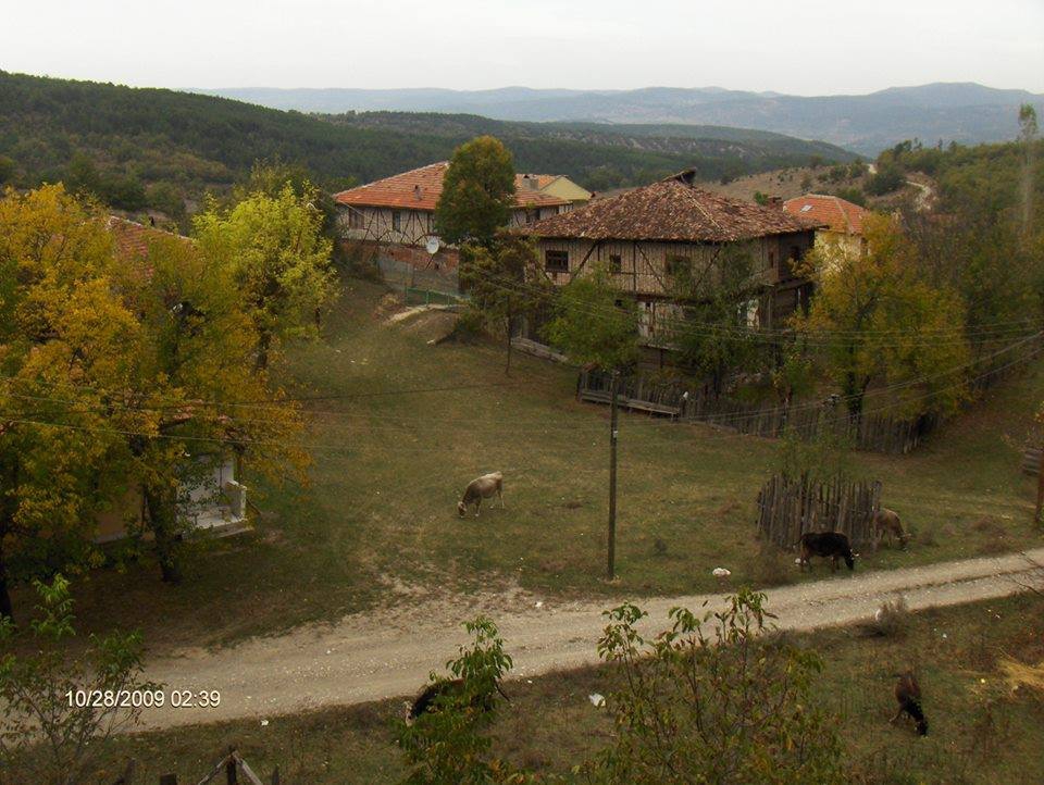 Araç Gökçesu Köyü Resimleri 5