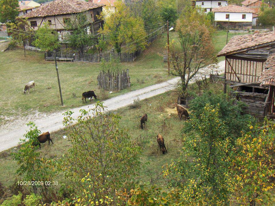 Araç Gökçesu Köyü Resimleri 6