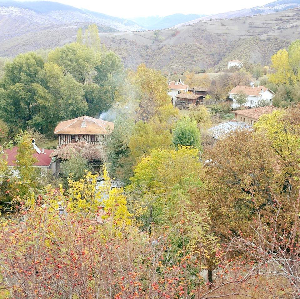 Araç Güzlük Köyü Resimleri 2