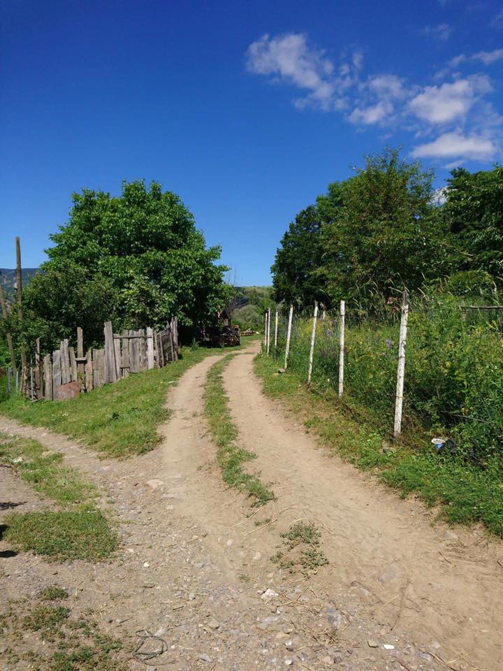 Araç Güzlük Köyü Resimleri 4