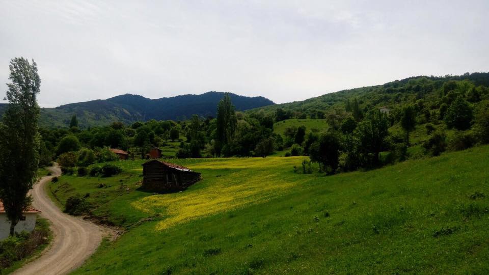 Araç Güzlük Köyü Resimleri 6