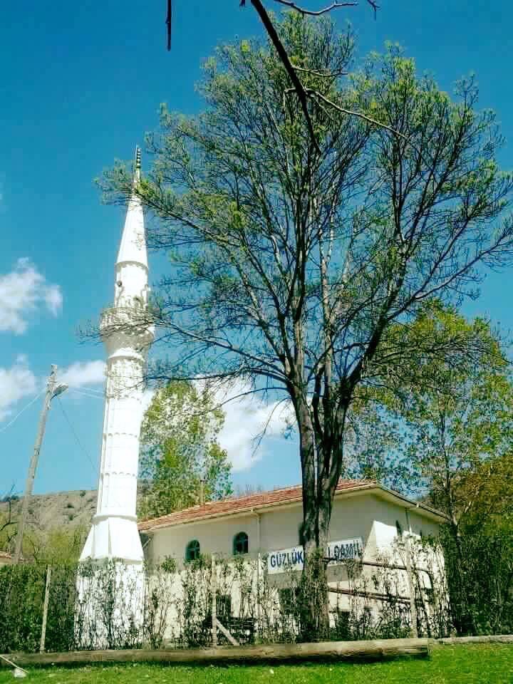 Araç Güzlük Köyü Resimleri 9