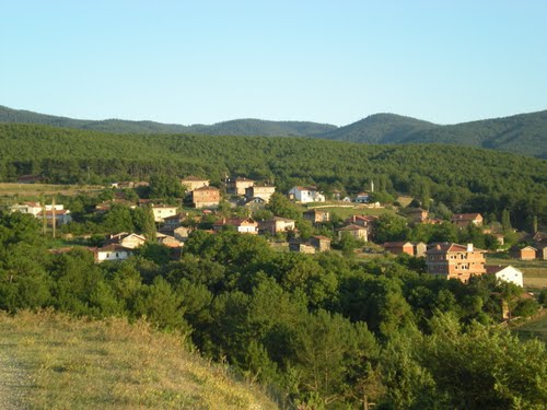 Araç Haliloba Köyü Resimleri 5