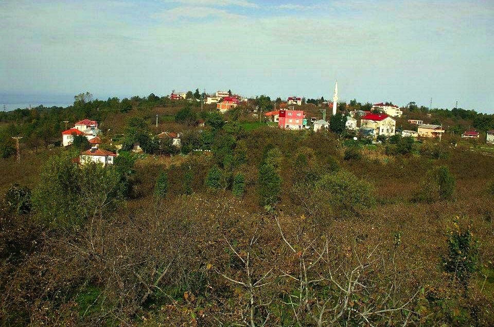 Beşikdüzü Anbarlı Köyü Resimleri 2
