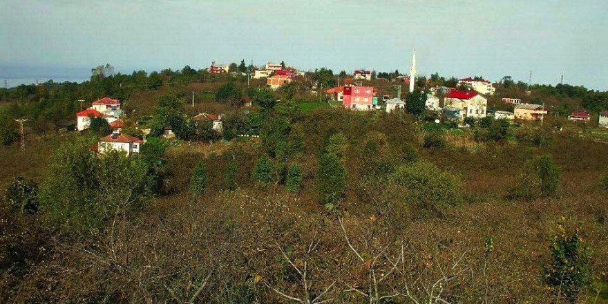 Beşikdüzü Anbarlı Köyü Resimleri