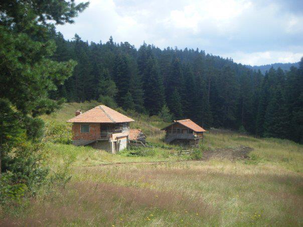 Araç Karcılar Köyü Resimleri 10