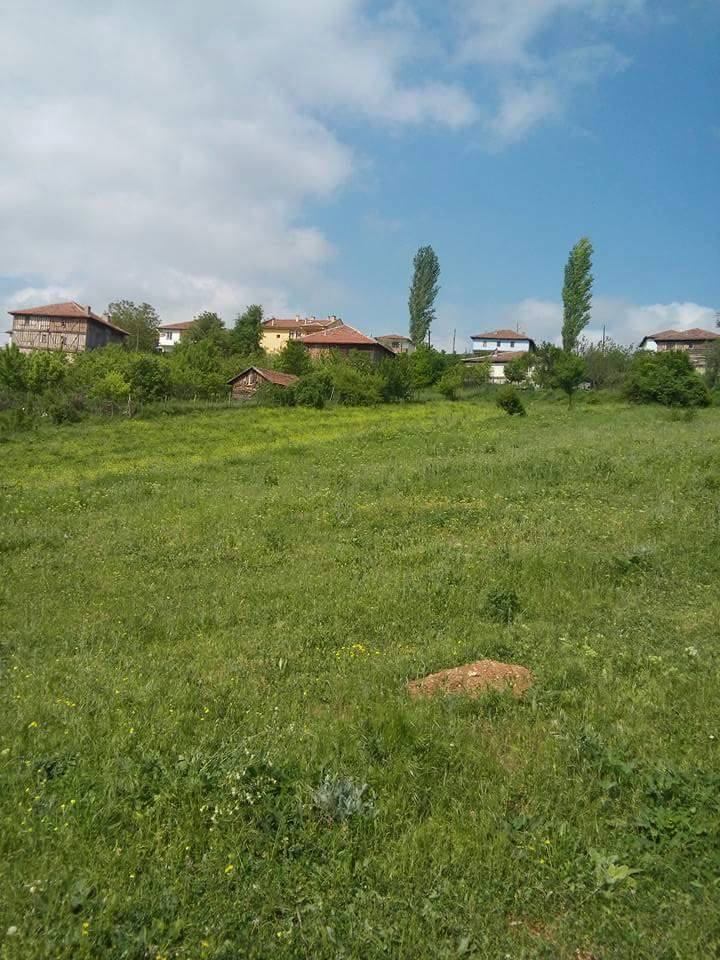 Araç Karcılar Köyü Resimleri 7