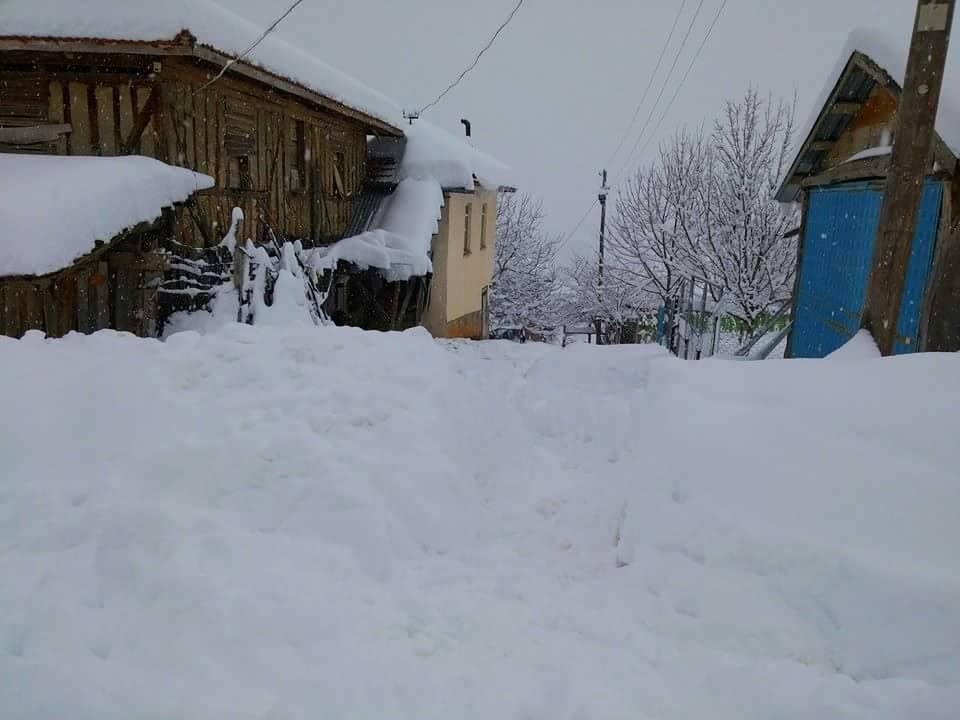 Araç Karcılar Köyü Resimleri 9