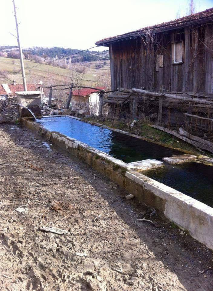 Araç Kızılsaray Köyü Resimleri 1