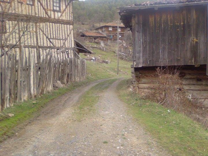 Araç Kızılsaray Köyü Resimleri 5
