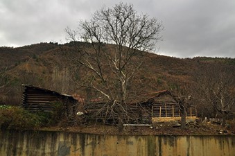 Araç Köklüdere Köyü Resimleri 2