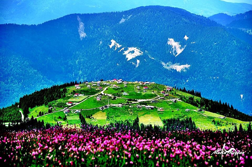 Beşikdüzü Bayırköy Resimleri 1