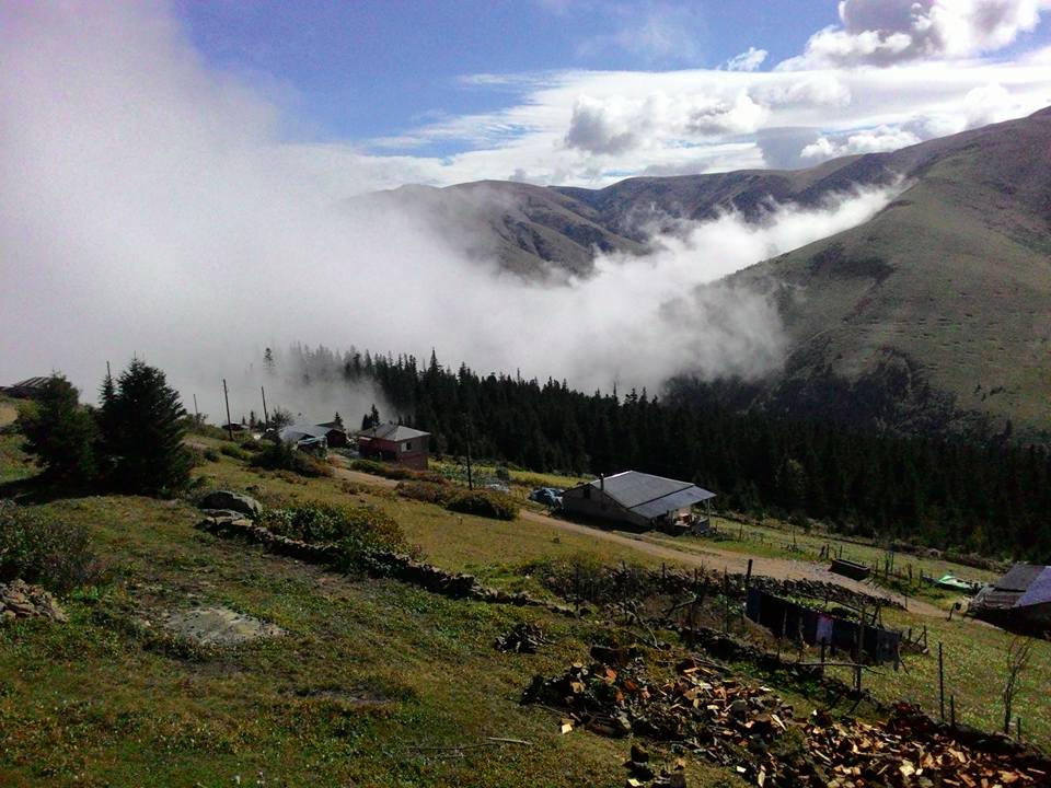 Beşikdüzü Bayırköy Resimleri 10
