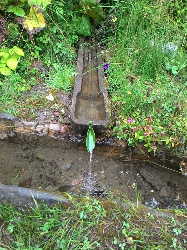 Beşikdüzü Bayırköy Resimleri 11