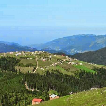Beşikdüzü Bayırköy Resimleri 14