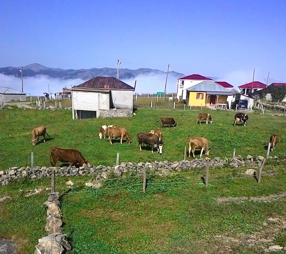 Beşikdüzü Bayırköy Resimleri 15