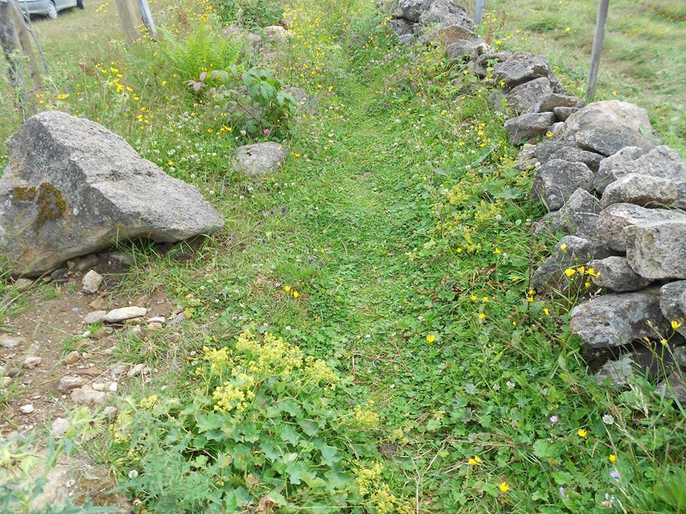 Beşikdüzü Bayırköy Resimleri 16