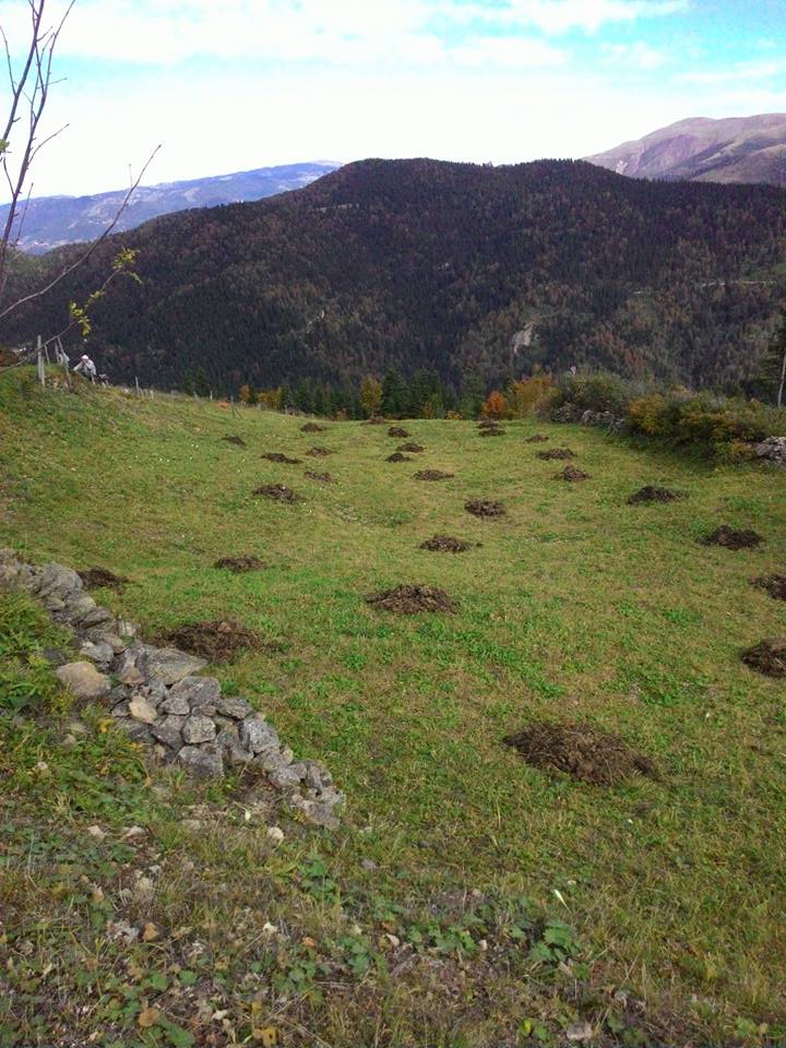 Beşikdüzü Bayırköy Resimleri 17