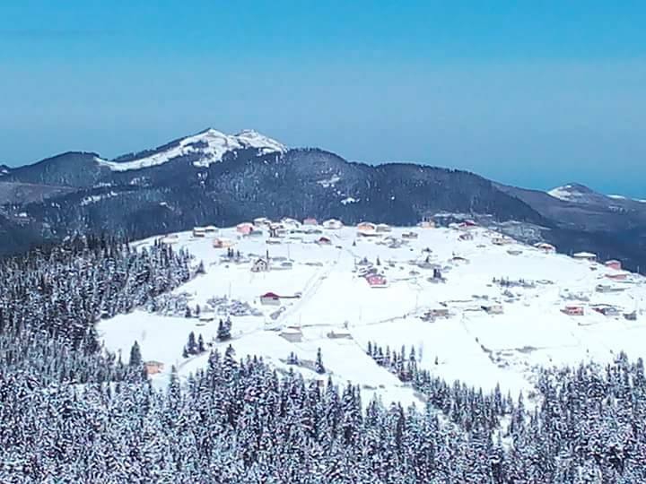 Beşikdüzü Bayırköy Resimleri 21