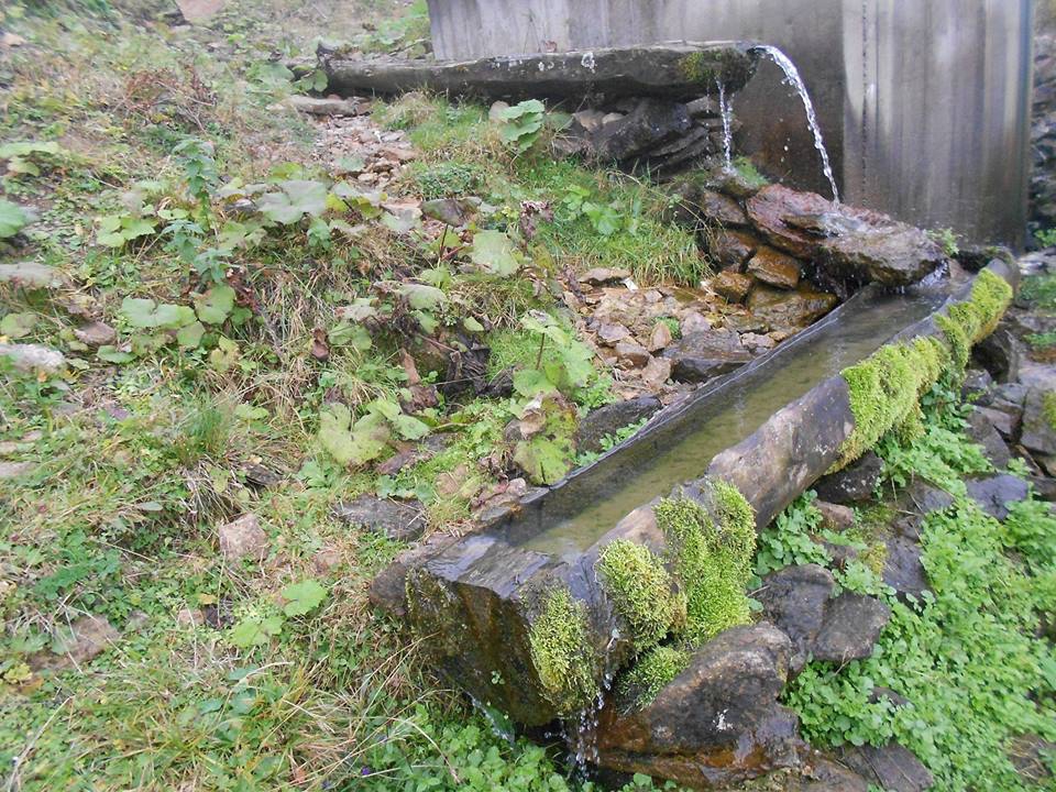 Beşikdüzü Bayırköy Resimleri 30