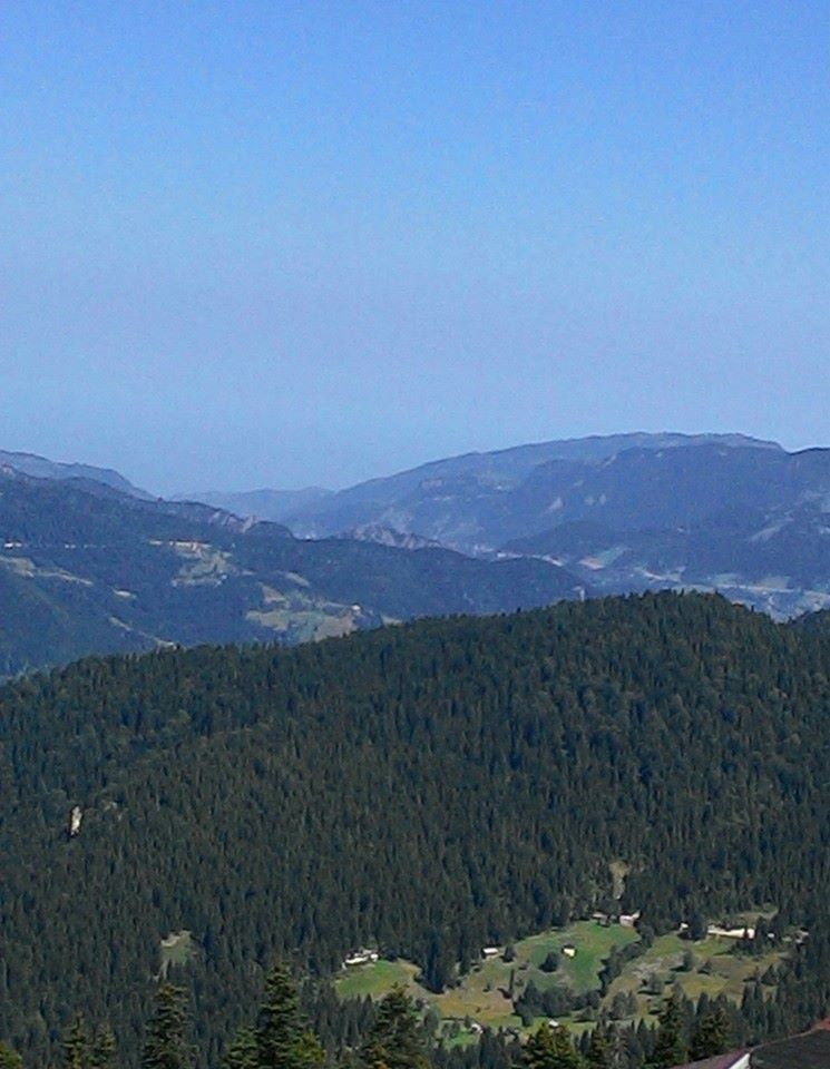 Beşikdüzü Bayırköy Resimleri 32