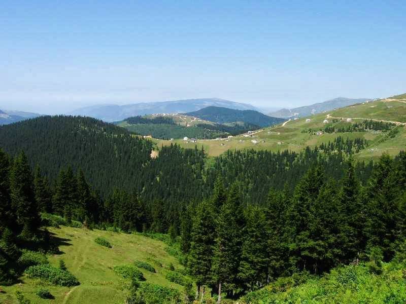 Beşikdüzü Bayırköy Resimleri 35