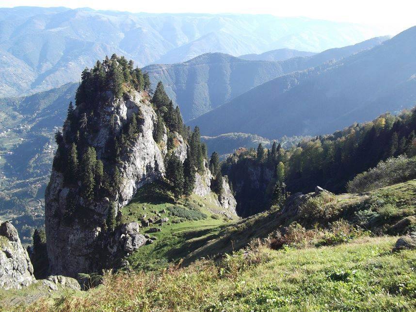 Beşikdüzü Bayırköy Resimleri 36