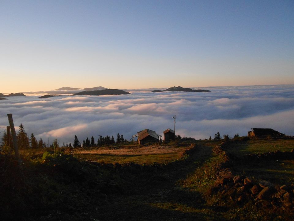 Beşikdüzü Bayırköy Resimleri 37