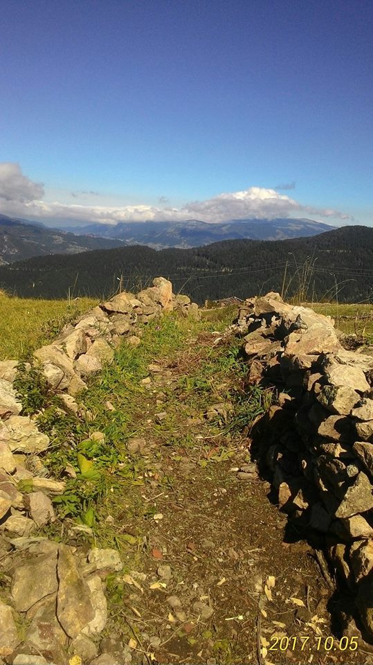 Beşikdüzü Bayırköy Resimleri 39