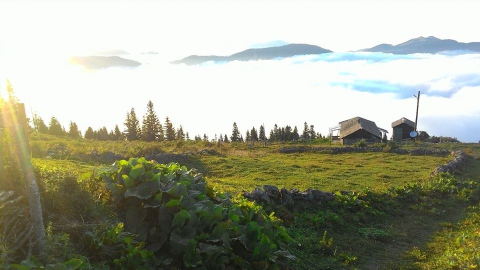 Beşikdüzü Bayırköy Resimleri 40