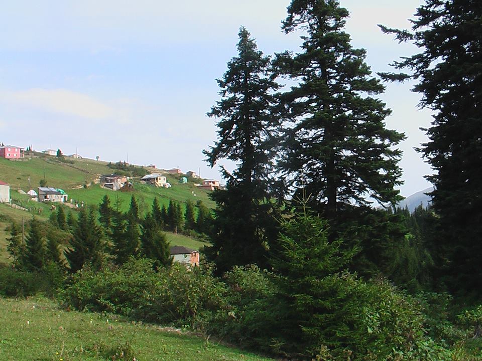 Beşikdüzü Bayırköy Resimleri 41