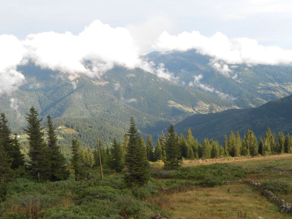 Beşikdüzü Bayırköy Resimleri 43